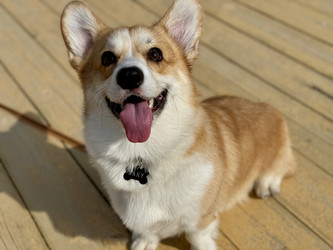 Similar image 22292043