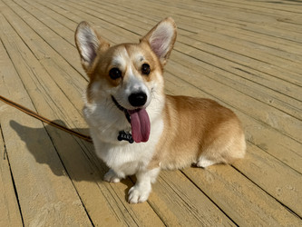 Similar image 22292046