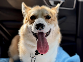 Similar image 22292062