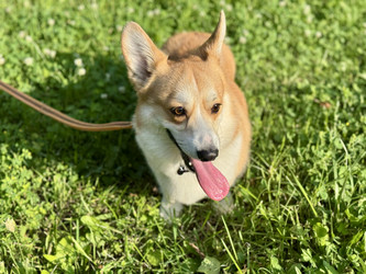 Similar image 22292064