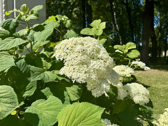 Similar image 22292203