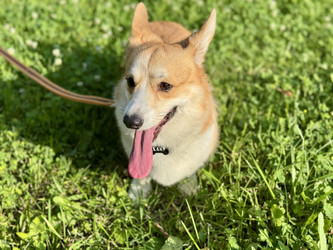 Similar image 22292205