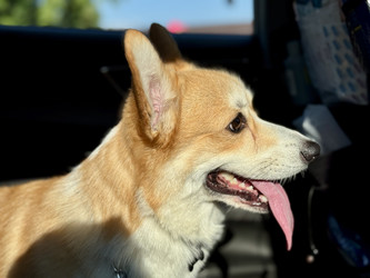 Similar image 22292210