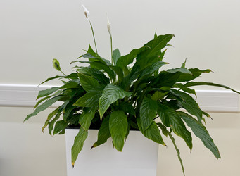 Similar image 22291768