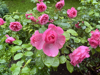 Similar image 22291770