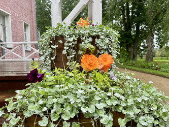 Similar image 22291772