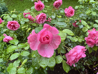 Similar image 22291775