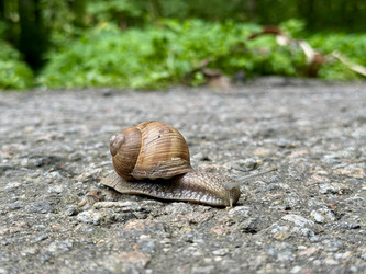 Similar image 22292066