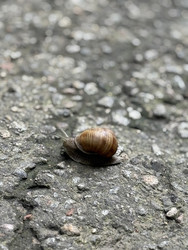 Similar image 22292068