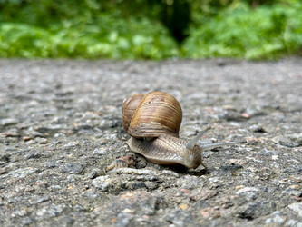 Similar image 22292069