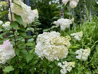 Similar image 22292070