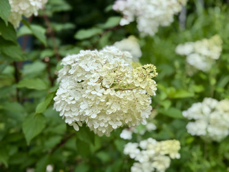 Similar image 22292071