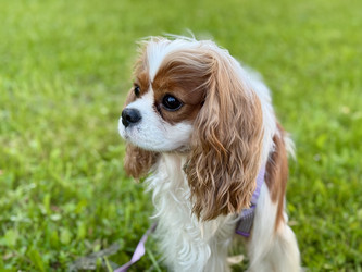 Similar image 22292224