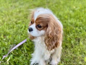 Similar image 22292225