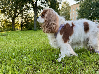 Similar image 22292226