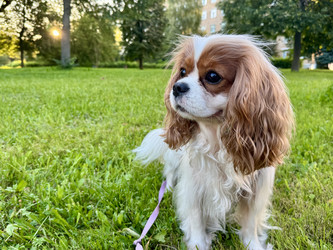 Similar image 22292227