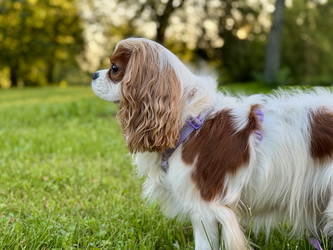 Similar image 22292228