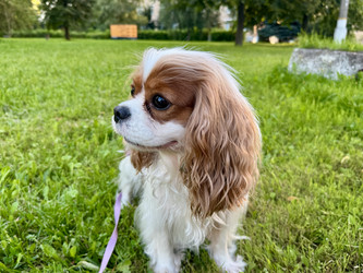 Similar image 22292229