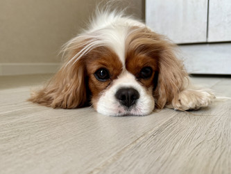 Similar image 22292230