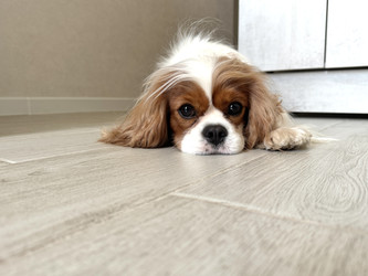 Similar image 22292232