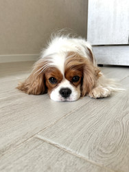 Similar image 22292233