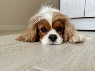 Similar image 22292234