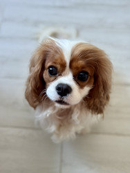 Similar image 22292235