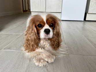 Similar image 22292236