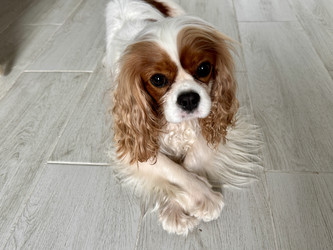 Similar image 22292237