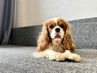 Similar image 22292238