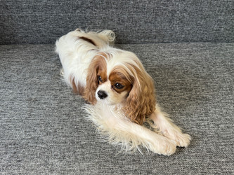 Similar image 22292239