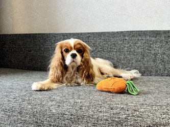 Similar image 22292240