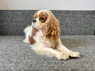 Similar image 22292241