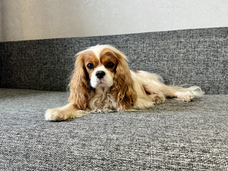 Similar image 22292242