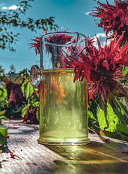 Similar image 22328070