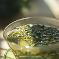 Similar image 22328548