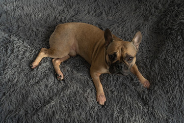 Similar image 22290382