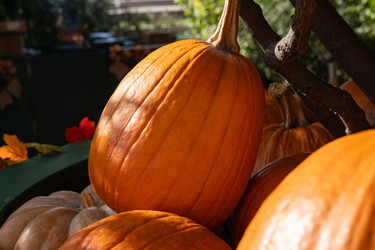 Similar image 22290383