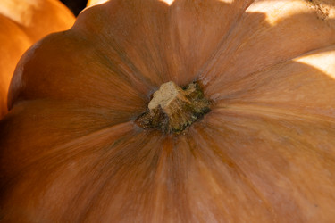 Similar image 22290384