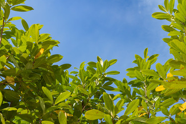 Similar image 22290386