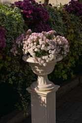 Similar image 22290389