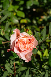 Similar image 22290391