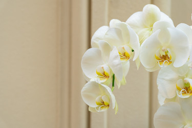 Similar image 22290401