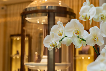 Similar image 22290402