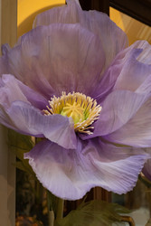 Similar image 22290403