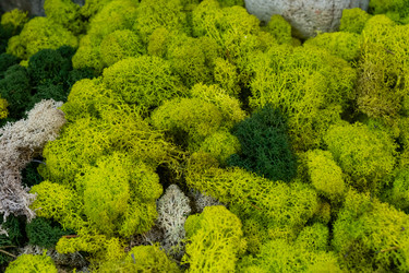 Similar image 22290404