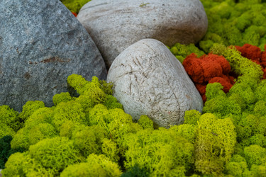 Similar image 22290405