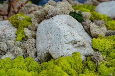 Similar image 22290407