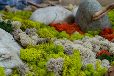 Similar image 22290408