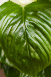 Similar image 22290410